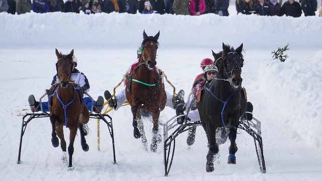 冠的白热化 冠的白热化