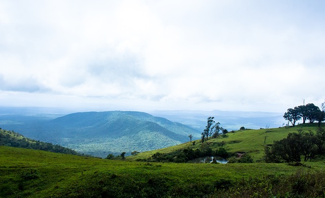 人决定追求 人决定追求