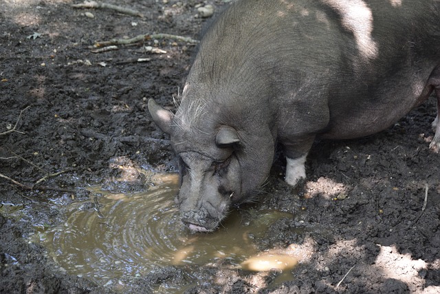 球队管理层 球队管理层