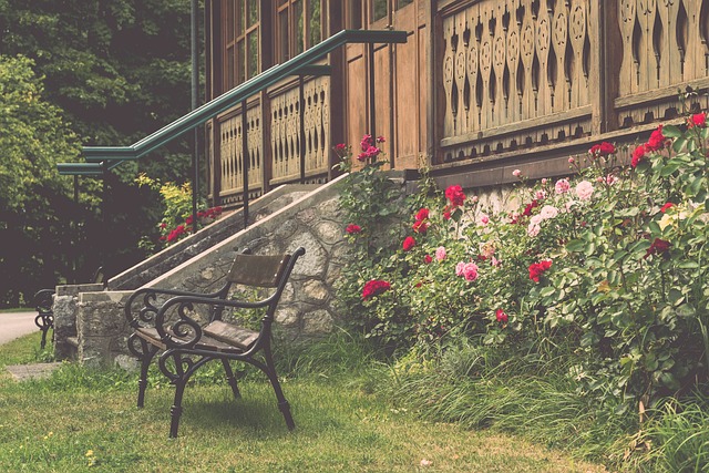 在这次失误 在这次失误