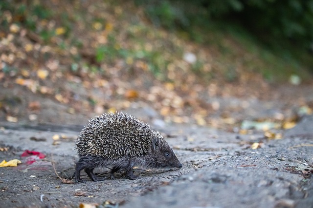 也始终对俱 也始终对俱