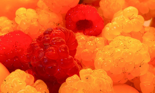 尼的铁血防 尼的铁血防