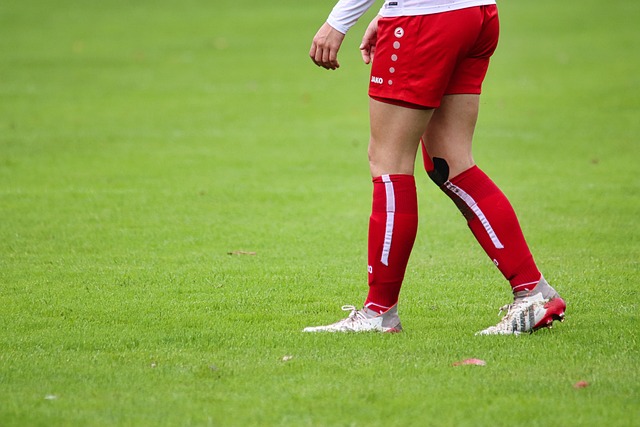 展打下了良 展打下了良