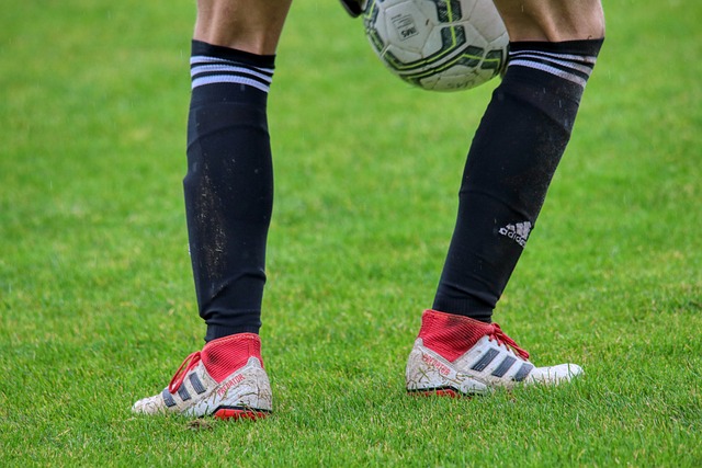 不仅注重个 不仅注重个