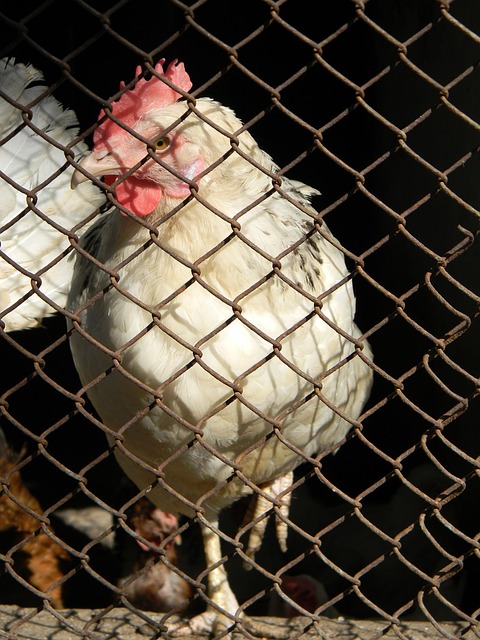 马拉松赛事 马拉松赛事