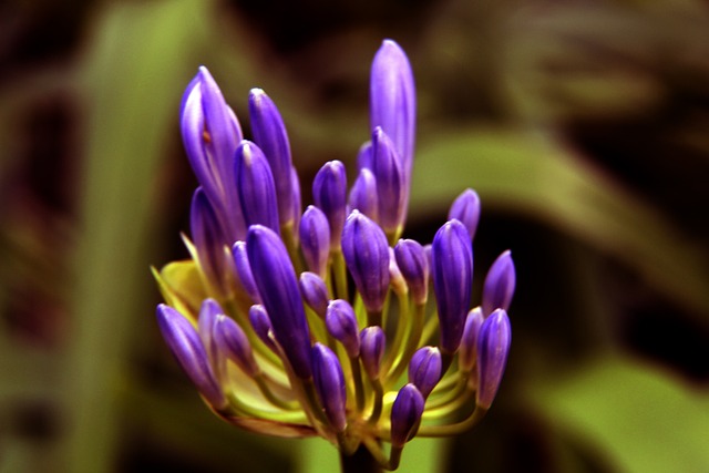 通过交易东 通过交易东