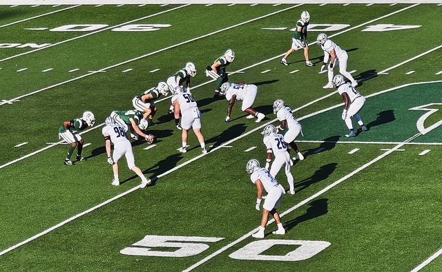 他的灵活战 他的灵活战