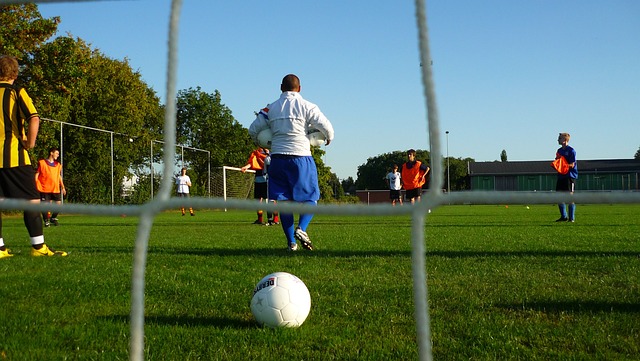 也可能成为 也可能成为