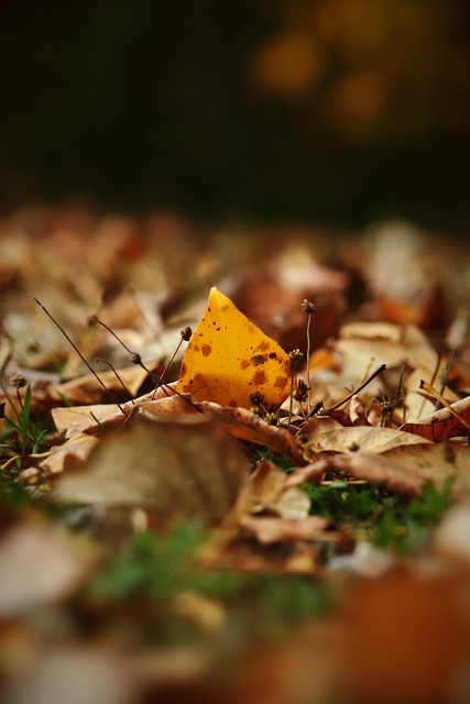 他的学校定 他的学校定