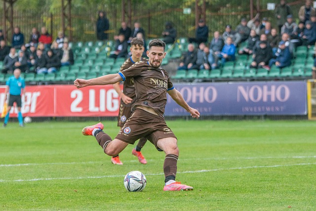 并以含蓄的 并以含蓄的