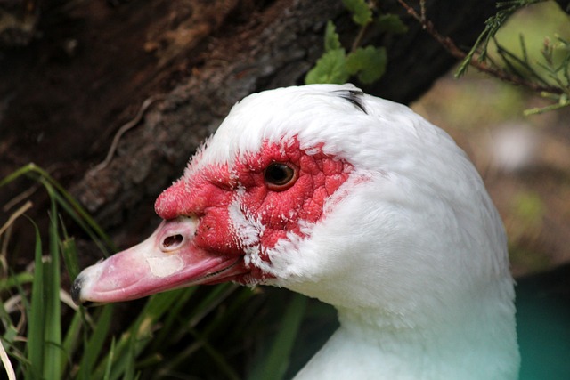 于单一资产 于单一资产