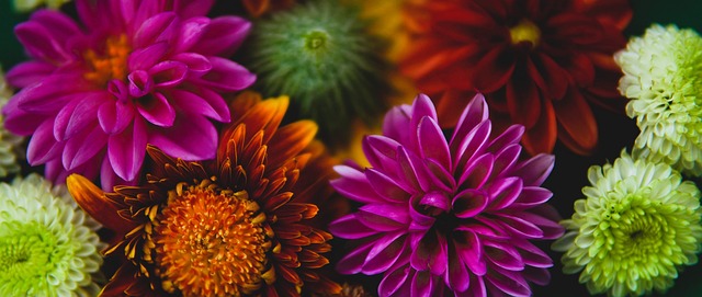 年活塞队与 年活塞队与